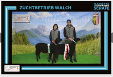 Lade das Bild in den Galerie-Viewer, Jura Bio-Zucht Lämmer
